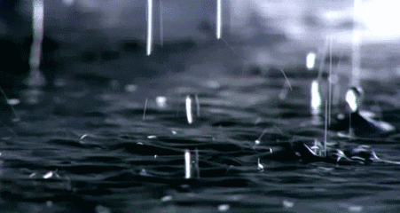 1592192406677240.gif 1592192406677240.gif